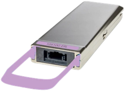 CPAK-10X10G-ERL=